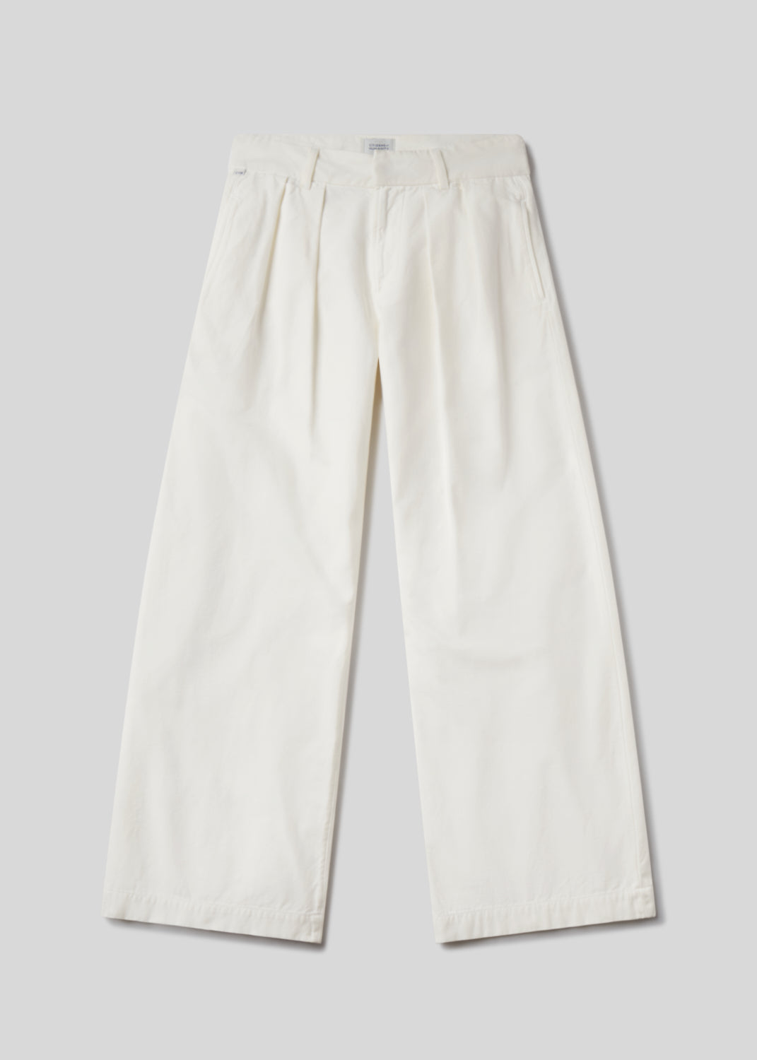 Petra Pleated Trouser in Pashmina flat