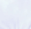swatch_white