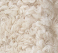 swatch_winterwhitetoscana