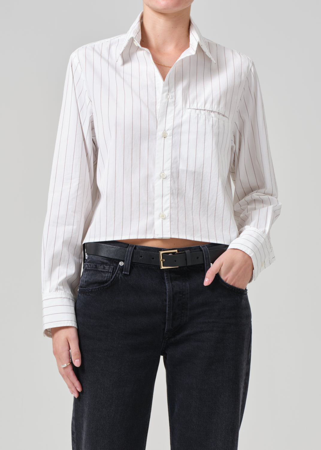 Fino Cropped Shirt in Clove Stripe front