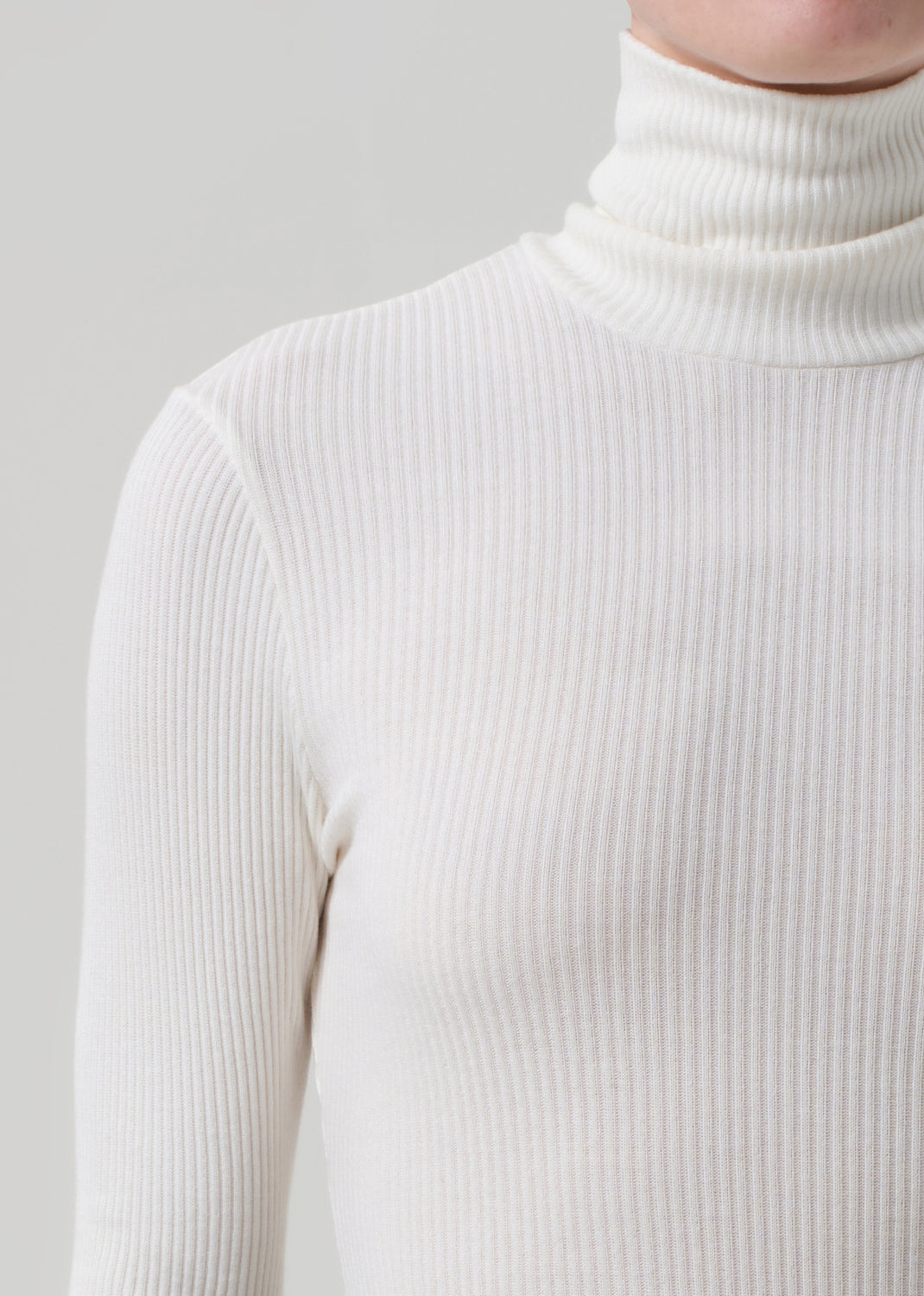Caradene Rib Turtleneck in Pashmina