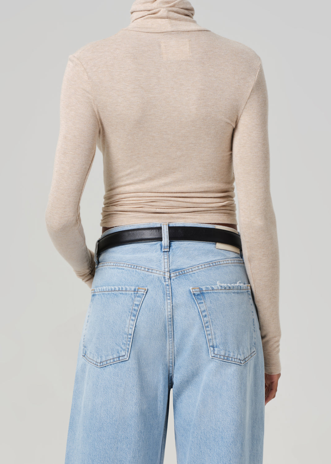 Caradene Turtleneck in Heathered Almond back