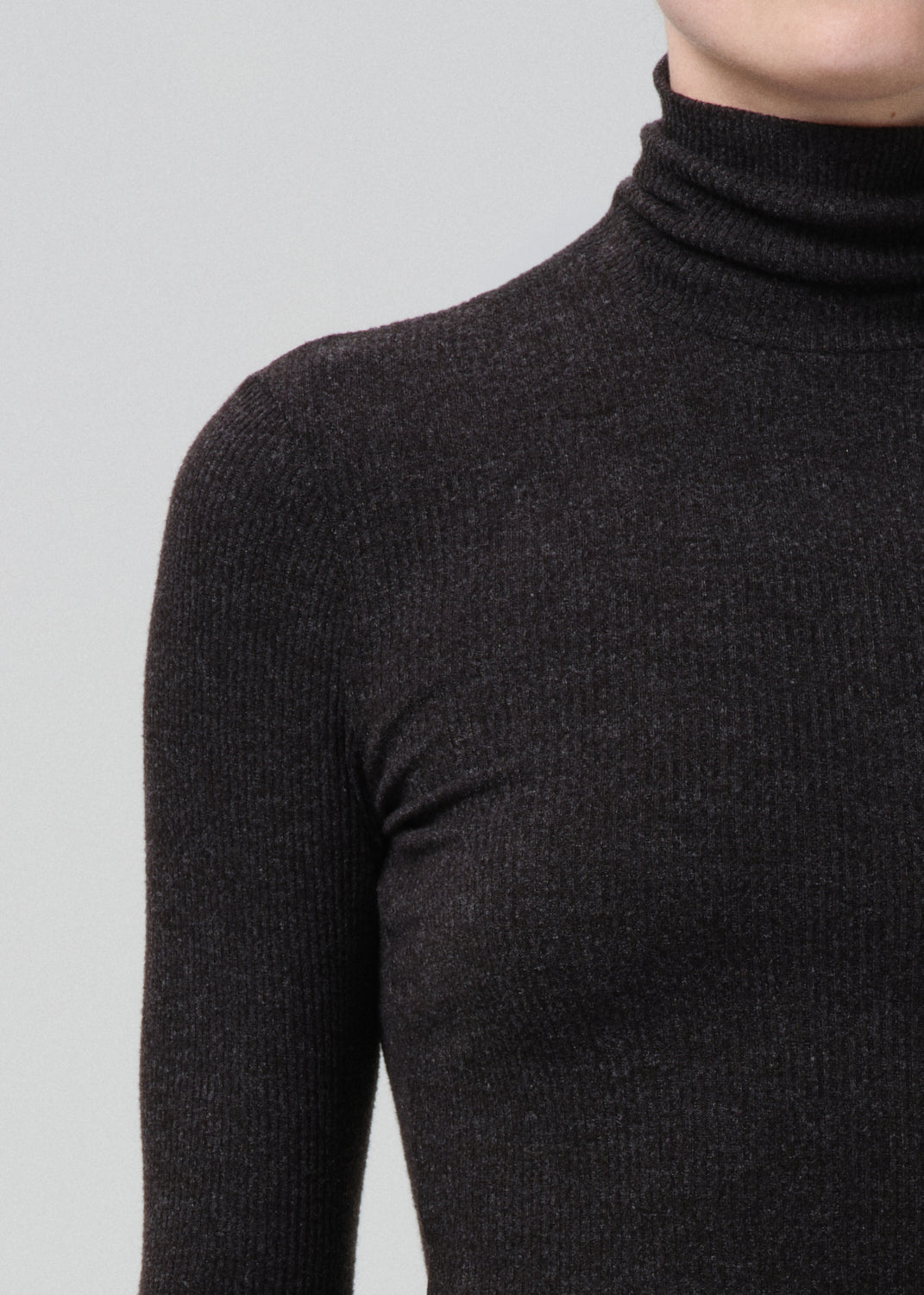 Caradene Turtleneck in Heather Charcoal