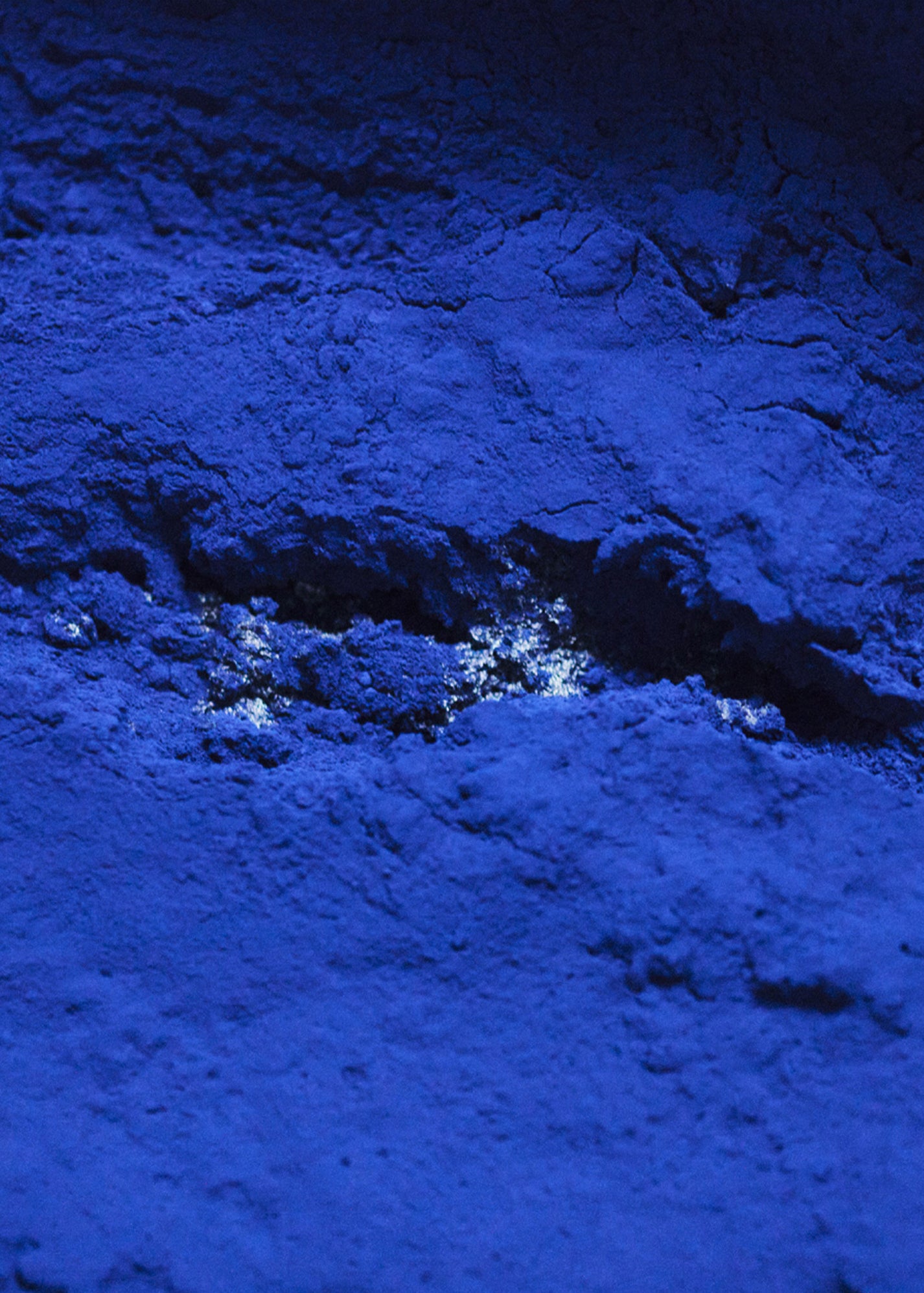 Citizens of Humanity Eco Indigo
