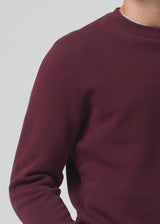 Vintage Crewneck Sweatshirt in Barolo detail