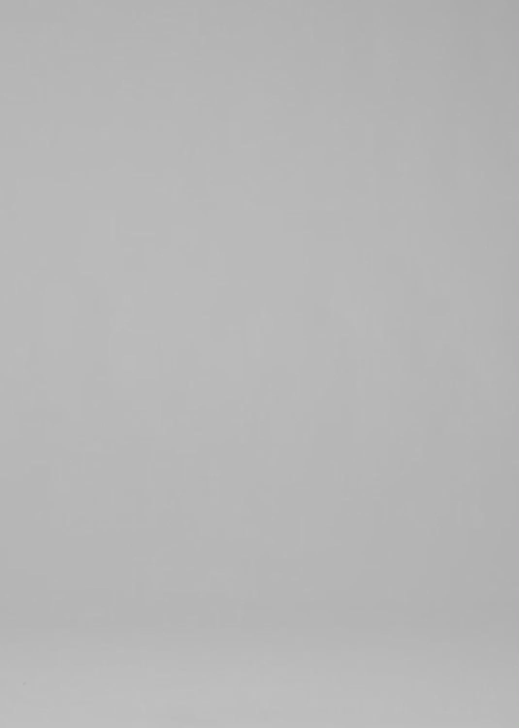 The Isola Mid Rise Cropped Boot Fit