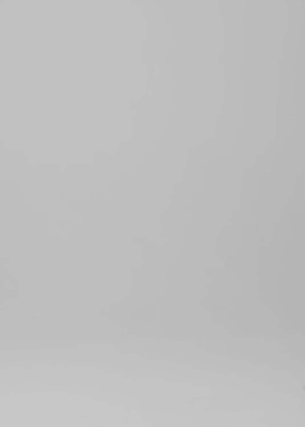 The Ayla Raw Hem Crop Fit