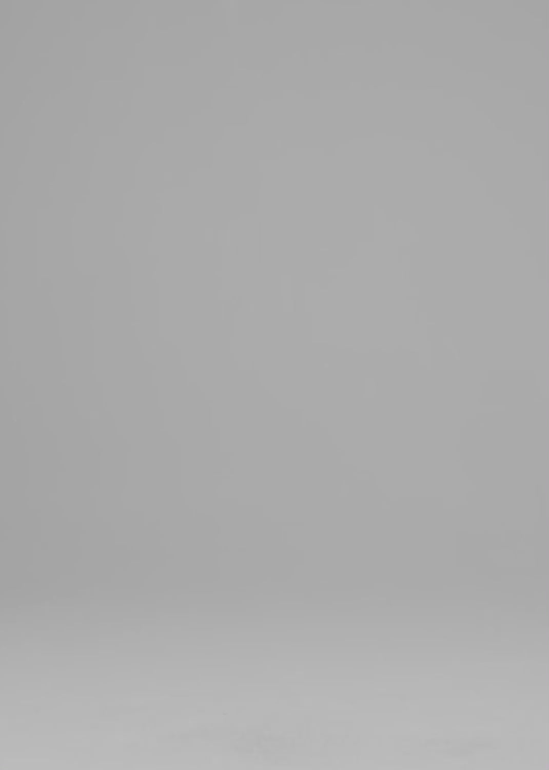 The Issy Wide Leg FIt