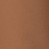 swatch_camel