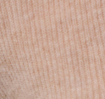 swatch_mushroom