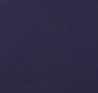 swatch_navy